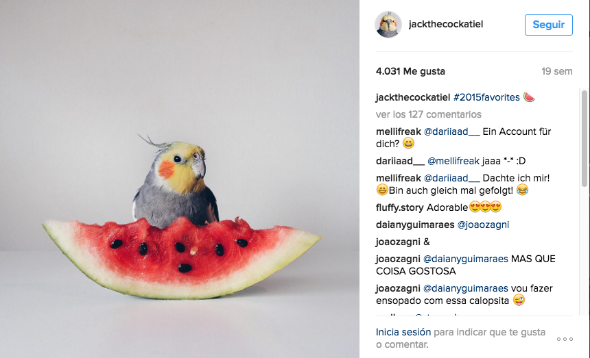 loro influencer